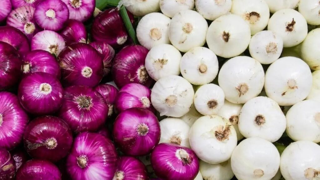 Onions Benefits : ಕೆಂಪು ಅಥವಾ ಬಿಳಿ ಈರುಳ್ಳಿ ಗಳಲ್ಲಿ ಯಾವ ಈರುಳ್ಳಿ ಹೆಚ್ಚು ಪ್ರಯೋಜನಕಾರಿ?