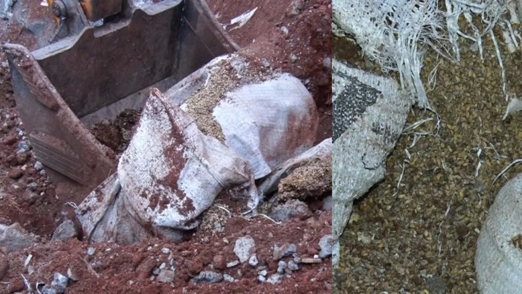 ಬಡವರ ಮಕ್ಕಳ ಹಸಿವು ನೀಗಿಸಬೇಕಿದ್ದ ಆಹಾರ ಮಣ್ಣುಪಾಲು : 15 ಕ್ವಿಂಟಾಲ್ ಗೋಧಿ ಹೂತ ಹಾಸ್ಟೆಲ್ ವಾರ್ಡನ್!