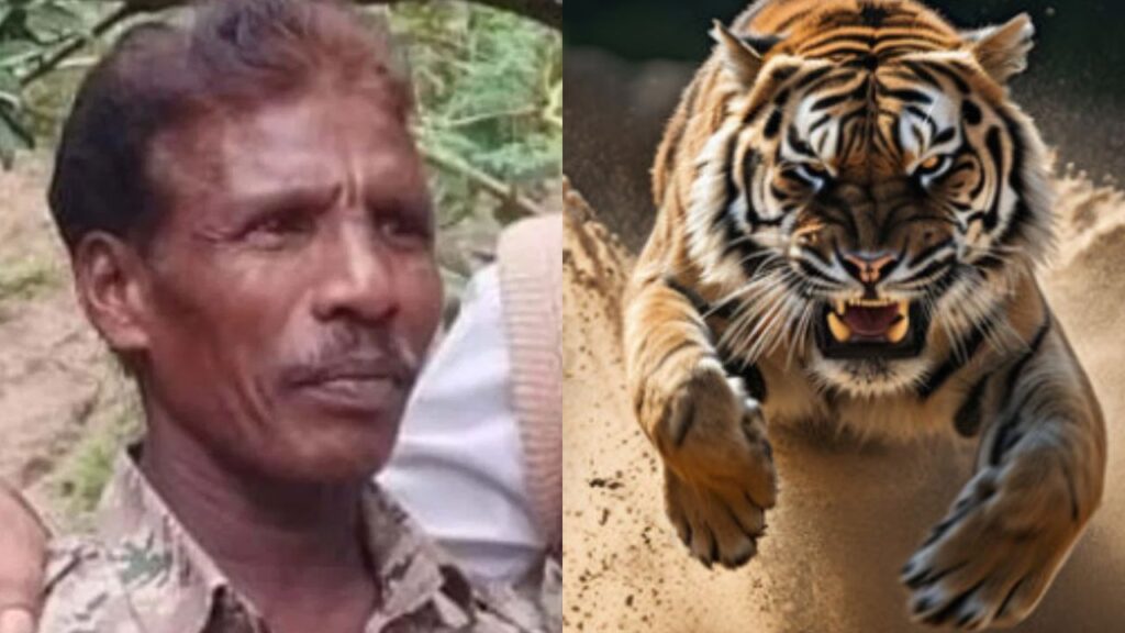 ಗಸ್ತು ತಿರುಗುವಾಗ ಹುಲಿ ದಾಳಿ: ಫಾರೆಸ್ಟ್ ವಾಚರ್ ಸಾವು